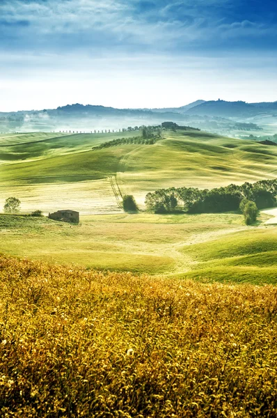 Toscana - Italia — Foto de Stock