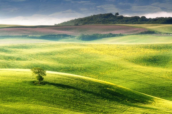 Toscane - Italië — Stockfoto