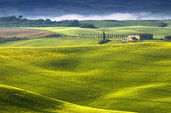 Toscana - Italia —  Fotos de Stock