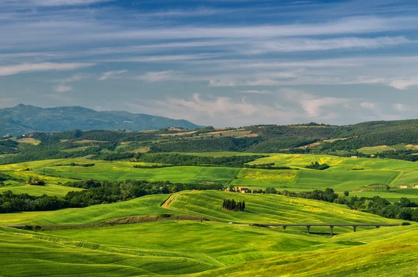 Tuscany - Italy — Stock Photo, Image