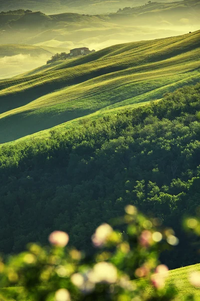 Toscana - Italia —  Fotos de Stock