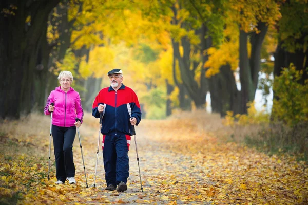 Nordic walking — Stock fotografie