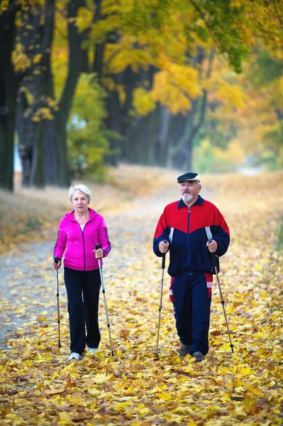 Caminata nórdica — Foto de Stock