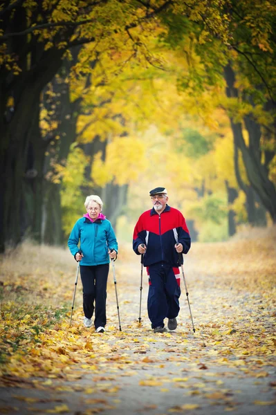 Camminata nordica — Foto Stock