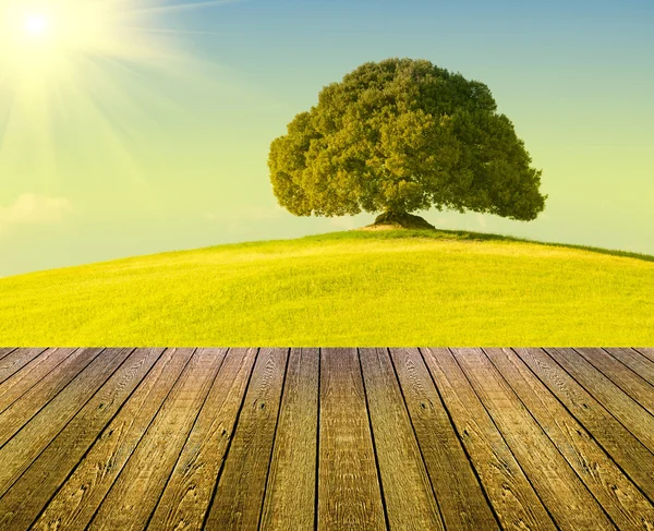 Toscana - Italia — Foto de Stock