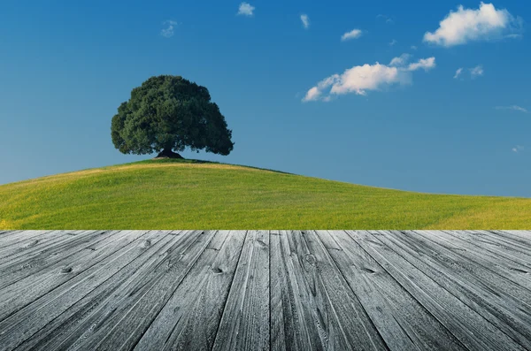 Toscane - Italië — Stockfoto