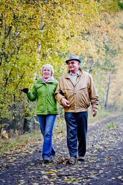 Äldsta par — Stockfoto