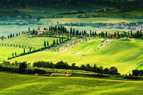 Paisagem em Toscana, Italia — Fotografia de Stock