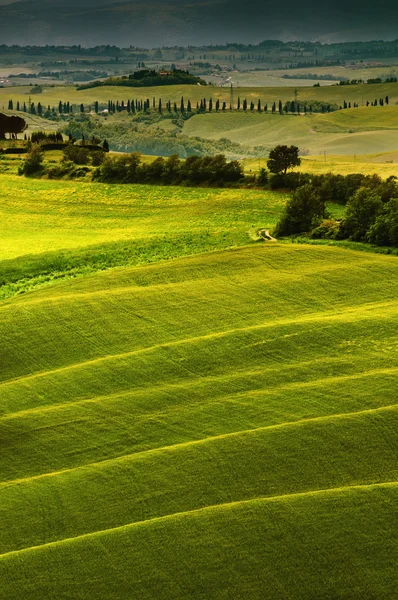 Paesaggio in Toscana, Italia — Foto Stock