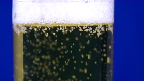 Close-up bier — Stockvideo