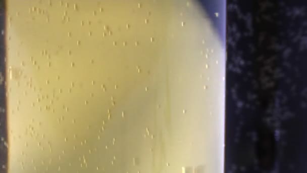 Close-up beer — Stock Video