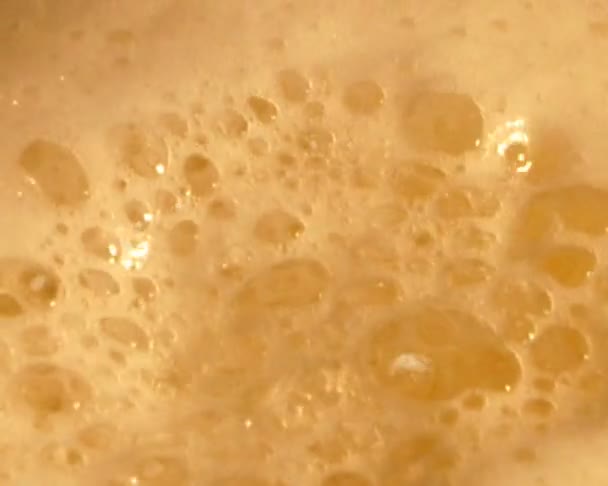 Feccia di birra — Video Stock