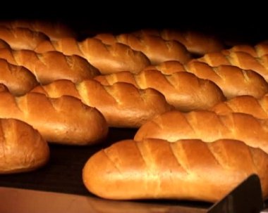 ekmek fırın konveyör