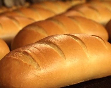 ekmek fırın konveyör