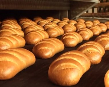 ekmek fırın konveyör