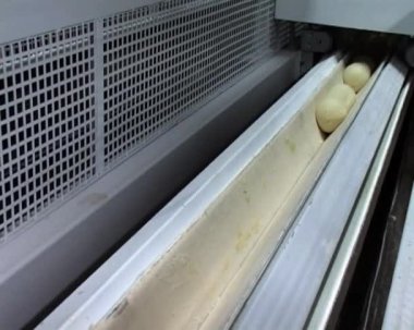 ekmek fırın konveyör