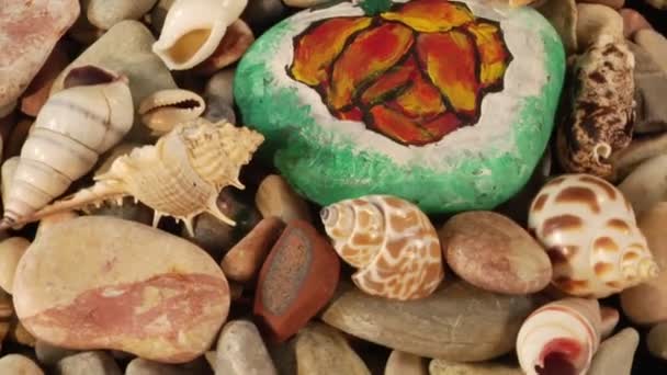 Rotatory sea-shells loop — Stock Video