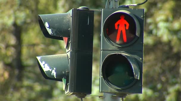 Traffic light for pedestrian — Stock Video