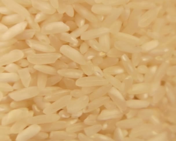 Rijst achtergrond — Stockvideo