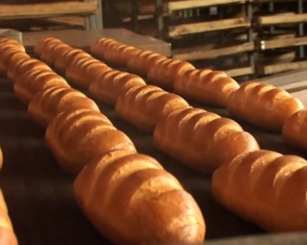 Brotbacken — Stockvideo