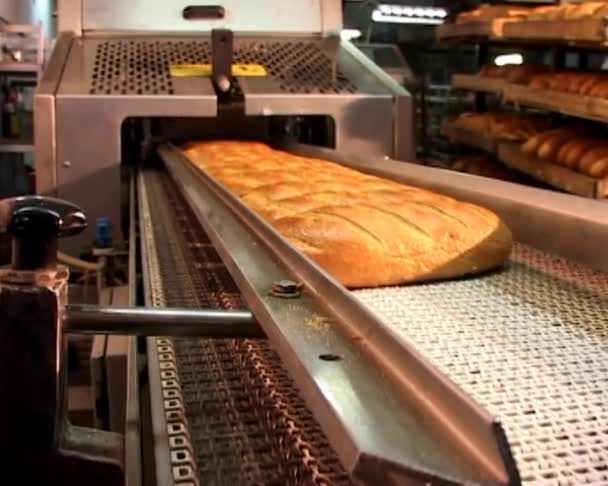 Bread baking conveyor — Stock Video