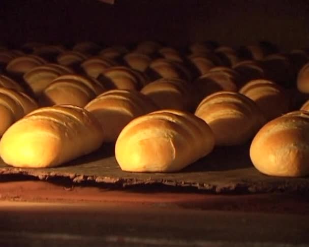 Trasportatore di cottura del pane — Video Stock