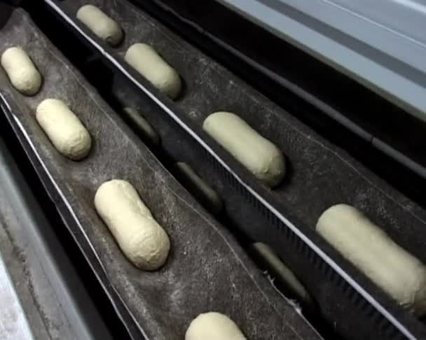 Bread baking conveyor — Stock Video