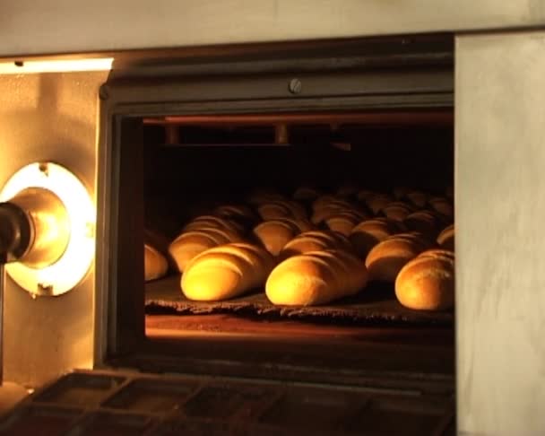 빵 제빵 컨베이어 — 비디오