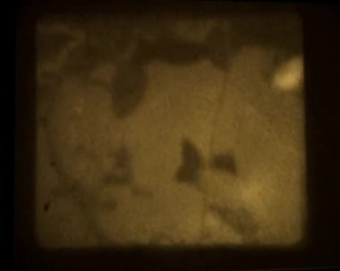 eski ev film