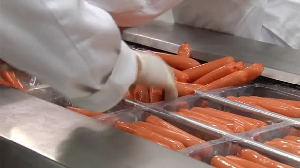 Sausage packing line — Stock Video