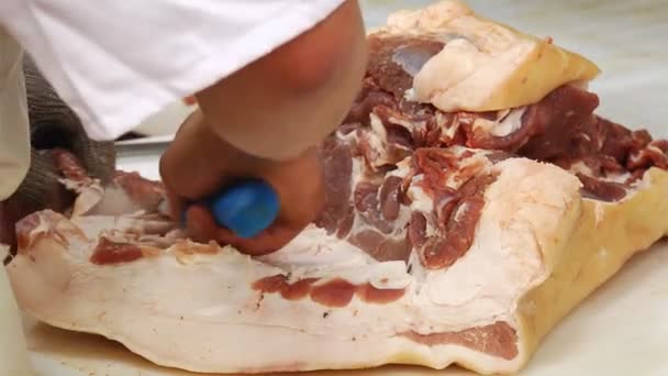 Et yetişmek, fabrika satırında — Stok video