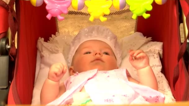 乳母車で生まれたばかりの赤ちゃん — ストック動画