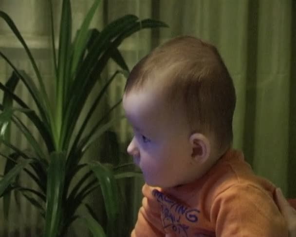 Bebê de seis meses — Vídeo de Stock
