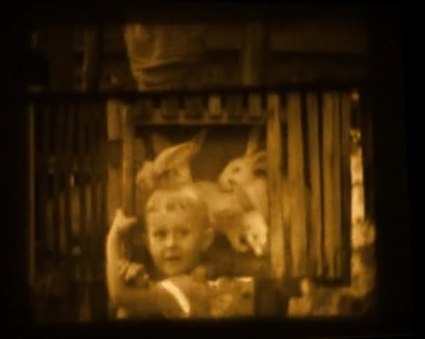Stary film domu — Wideo stockowe