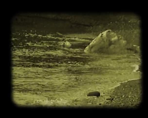 Scène à la plage de la mer automnale — Video