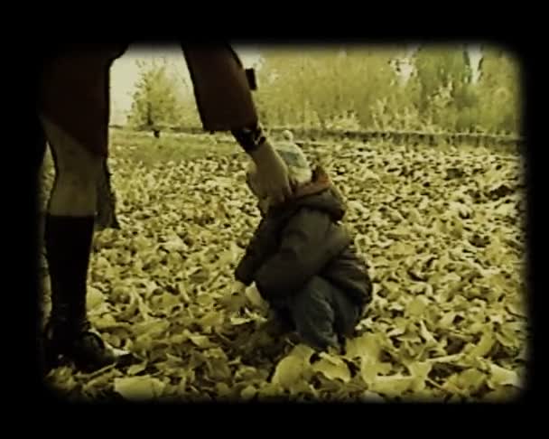 Piccolo bambino che gioca al parco autunnale — Video Stock