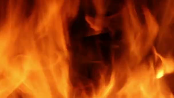 Fiamme di fuoco — Video Stock