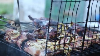 bıldırcınlar ızgara Bölüm 1