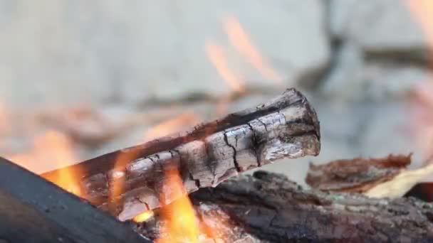 Chama de fogo — Vídeo de Stock