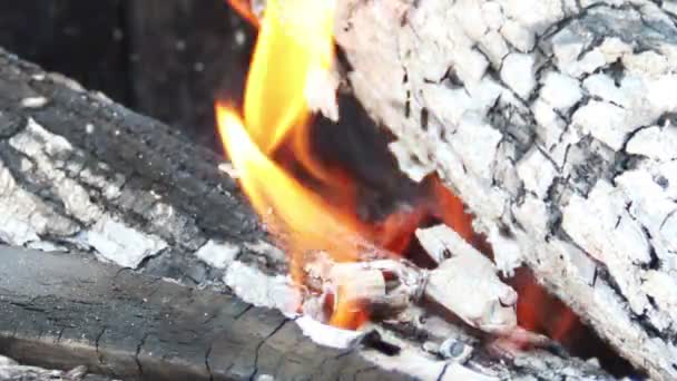 Vlam van vuur — Stockvideo