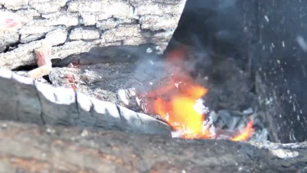 Полум'я вогню — стокове відео
