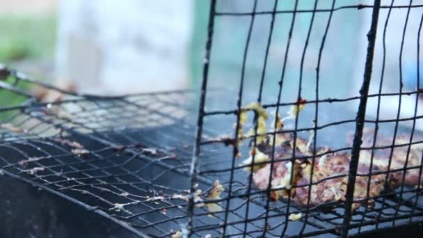 Quails on grill part 2 — Stock Video