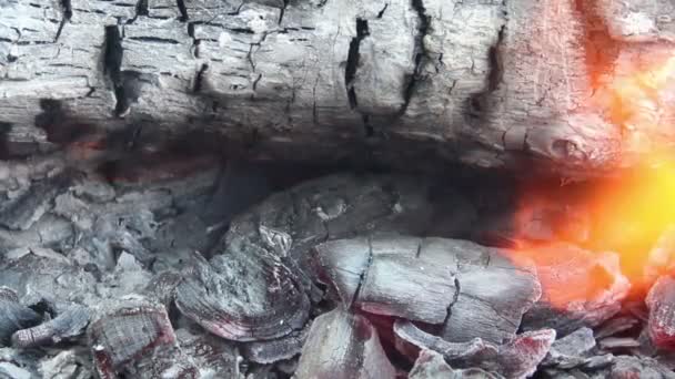 Пламя огня — стоковое видео
