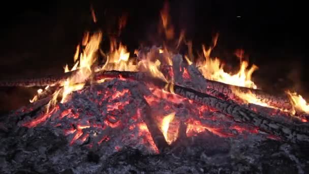 Φωτιά κάμπινγκ — Αρχείο Βίντεο