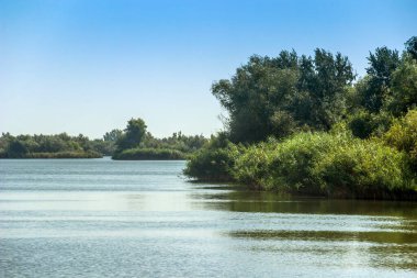 Tuna Deltası, Odessa bölgesi, Ukrayna 'nın Ukrayna bölgesindeki gölün manzarası