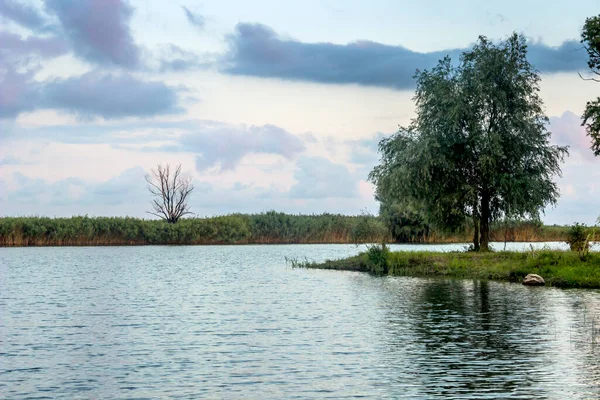 Paisagem Lago Parte Ucraniana Delta Danúbio Região Odessa Ucrânia — Fotografia de Stock
