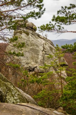 Batı Ukrayna 'nın Ukrayna Karpatya, Poliyanytskiy Bölgesel Peyzaj Parkı, Ivano-Frankivsk bölgesindeki Dovbush manzaralı kayalar