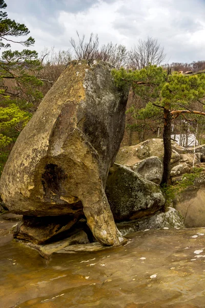 Zbliżenie Kamieni Skalnych Dovbush Karpatach Ukraińskich Polyanytskiy Regionalny Park Krajobrazowy — Zdjęcie stockowe