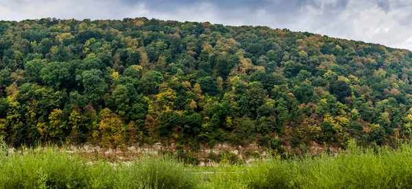 Stromy Skalisty Brzeg Rzeki Dnister Narodowy Park Przyrody Kanion Dnister — Zdjęcie stockowe