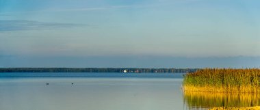 Shatskyi Gölü 'nden Svitiaz Gölü grubu, Shatsk Ulusal Doğal Parkı, Batı Ukrayna' nın Volyn Bölgesi
